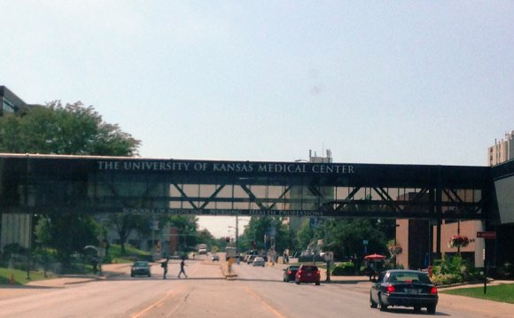 University of Kansas School of