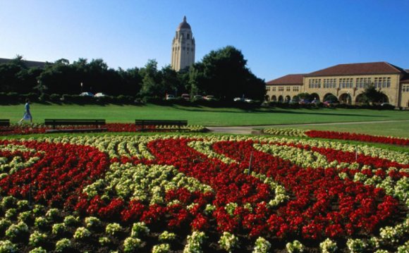 Stanford University ranked in