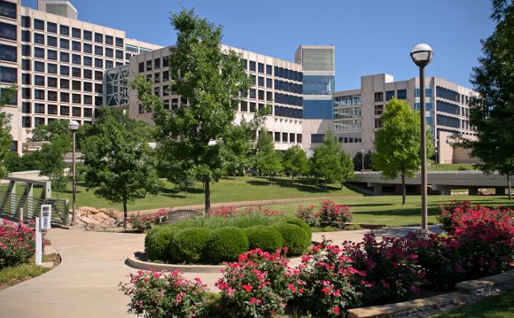 The UT Southwestern Medical