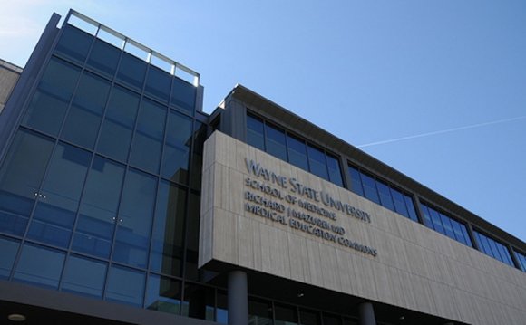 Wayne State medical school