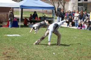 Annual Open House 2014, agility dog performing