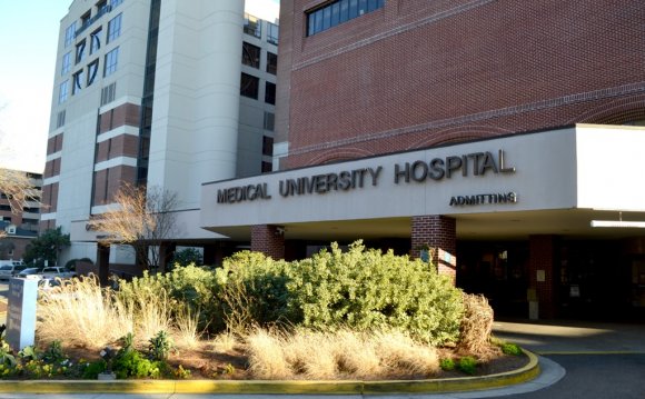 Medical University of South Carolina Greenville