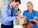 Continuing Education Medical Assistant
