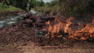 Setting Fire to Drinking Water (Excerpt from ‘Superbugs’)