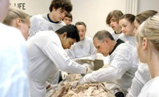 Students working in anatomy lab