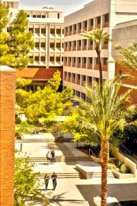 The College of Medicine courtyard