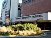 Medical University of South Carolina Greenville
