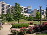 University of Texas Southwestern Medical School