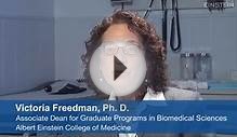 Doctoral Programs at Albert Einstein College of Medicine