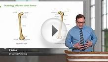Femur – Anatomy | Medical Education Videos