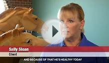 Get to know the Ohio State Veterinary Medical Center