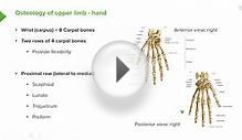 Hand – Anatomy | Medical Education Videos