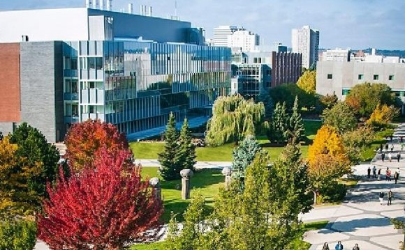 Washington State University Medical School